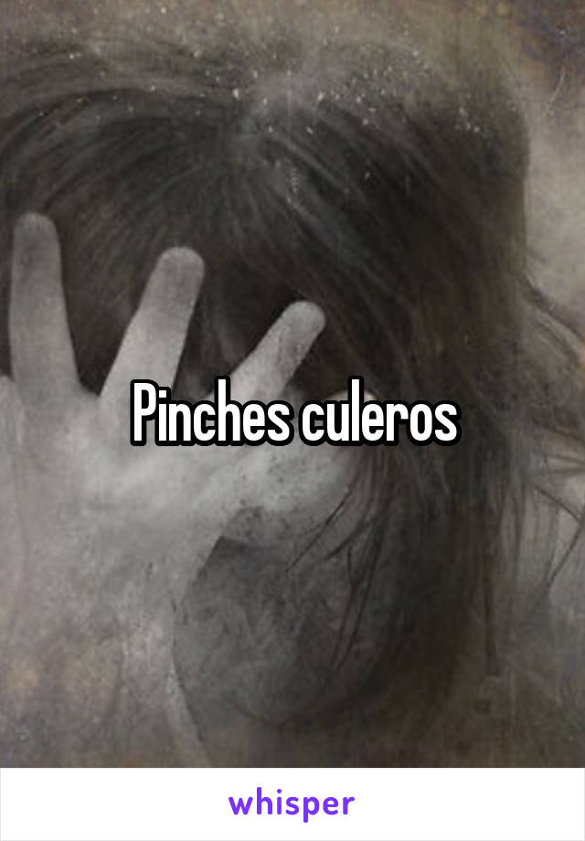 Pinches culeros