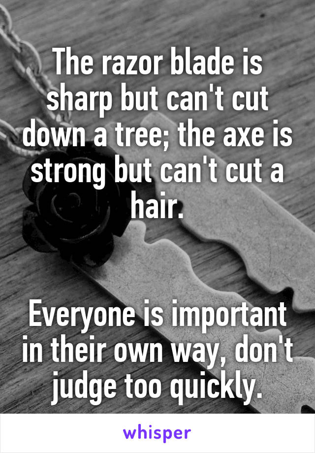 The razor blade is sharp but can't cut down a tree; the axe is strong but can't cut a hair.


Everyone is important in their own way, don't judge too quickly.