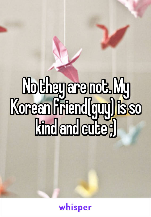 No they are not. My Korean friend(guy) is so kind and cute ;)