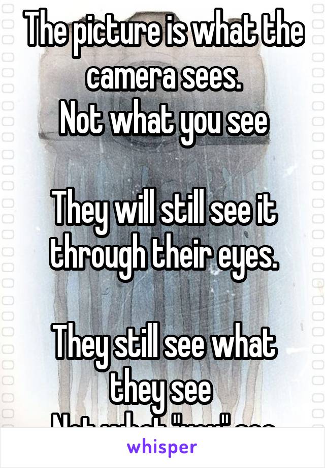 The picture is what the camera sees.
Not what you see

They will still see it through their eyes.

They still see what they see 
Not what "you" see