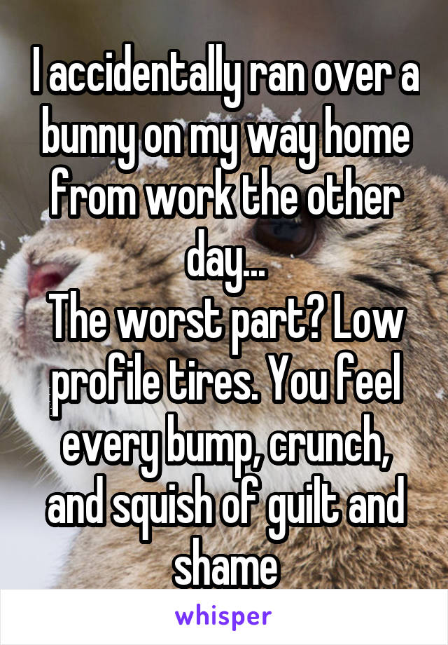 I accidentally ran over a bunny on my way home from work the other day...
The worst part? Low profile tires. You feel every bump, crunch, and squish of guilt and shame