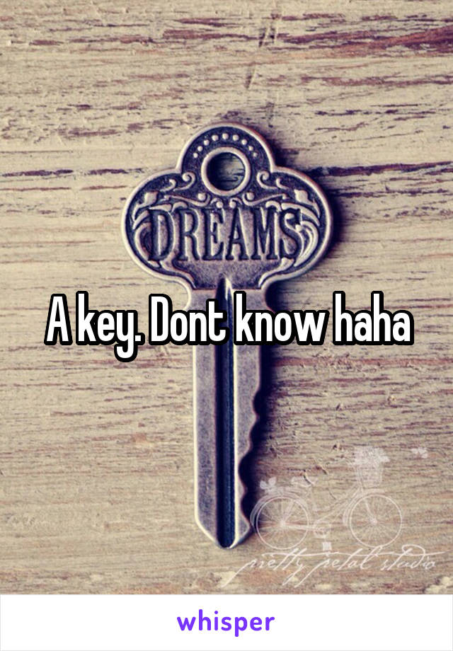 A key. Dont know haha