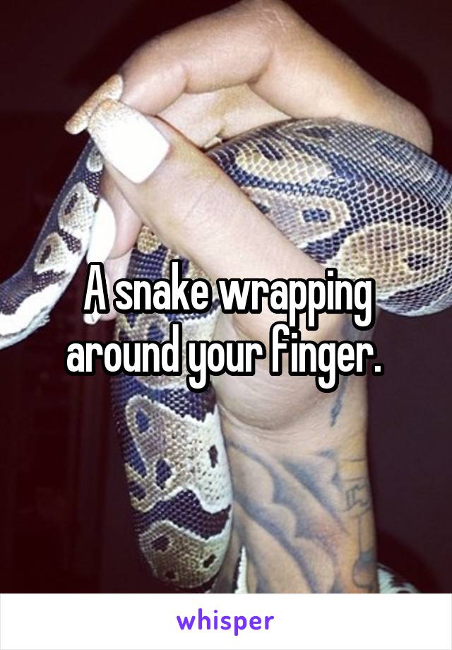 A snake wrapping around your finger. 