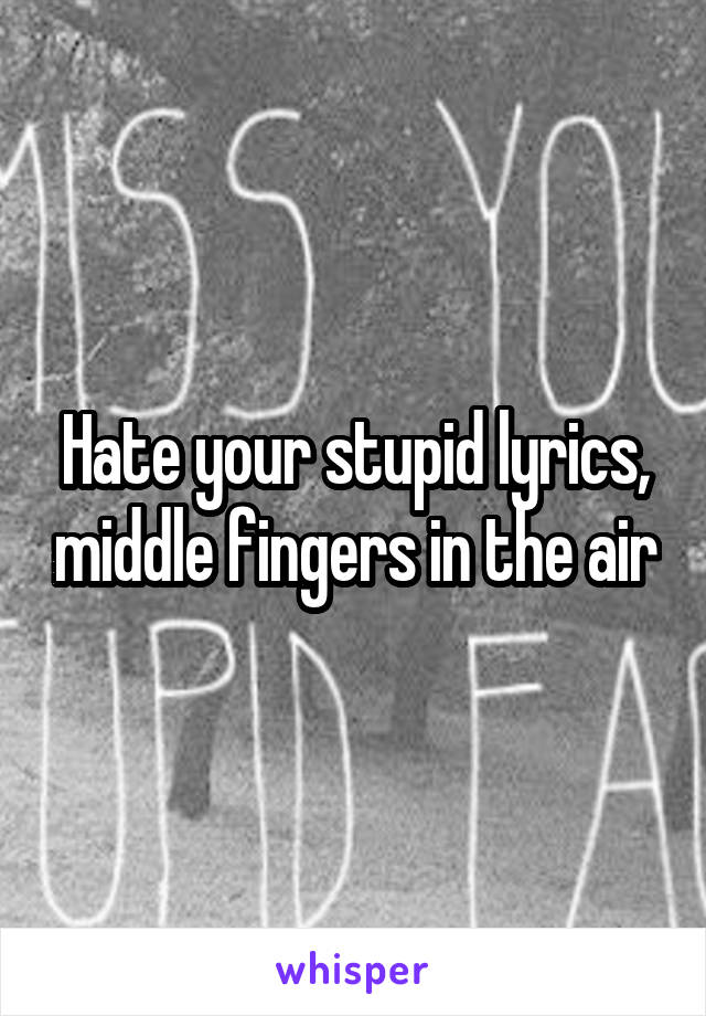 your stupid lyrics, middle fingers in the air