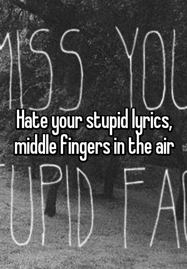 Hate your stupid lyrics, middle fingers in the air