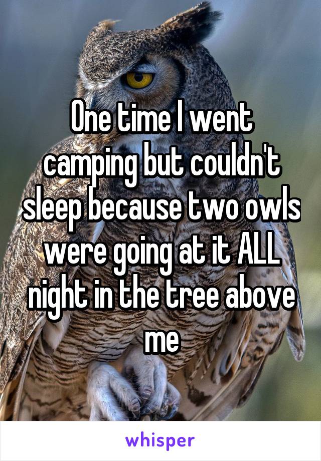 One time I went camping but couldn't sleep because two owls were going at it ALL night in the tree above me