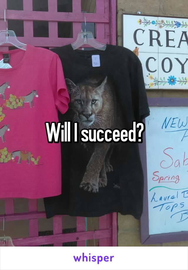 Will I succeed?