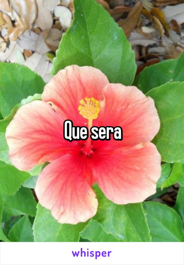 Que sera