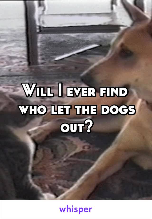 Will I ever find  who let the dogs out?