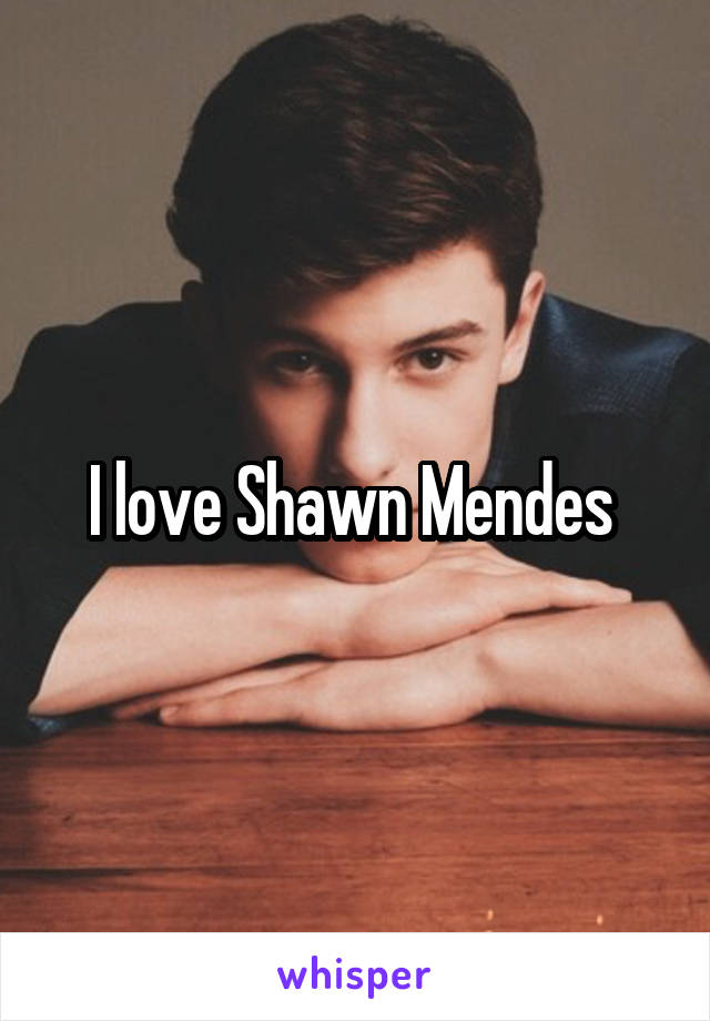 I love Shawn Mendes 