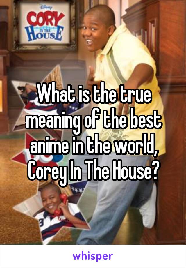 What is the true meaning of the best anime in the world, Corey In The House?