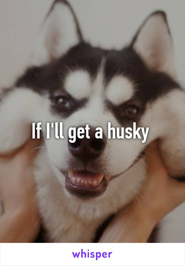 If I'll get a husky 