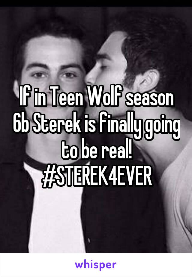 If in Teen Wolf season 6b Sterek is finally going to be real! #STEREK4EVER