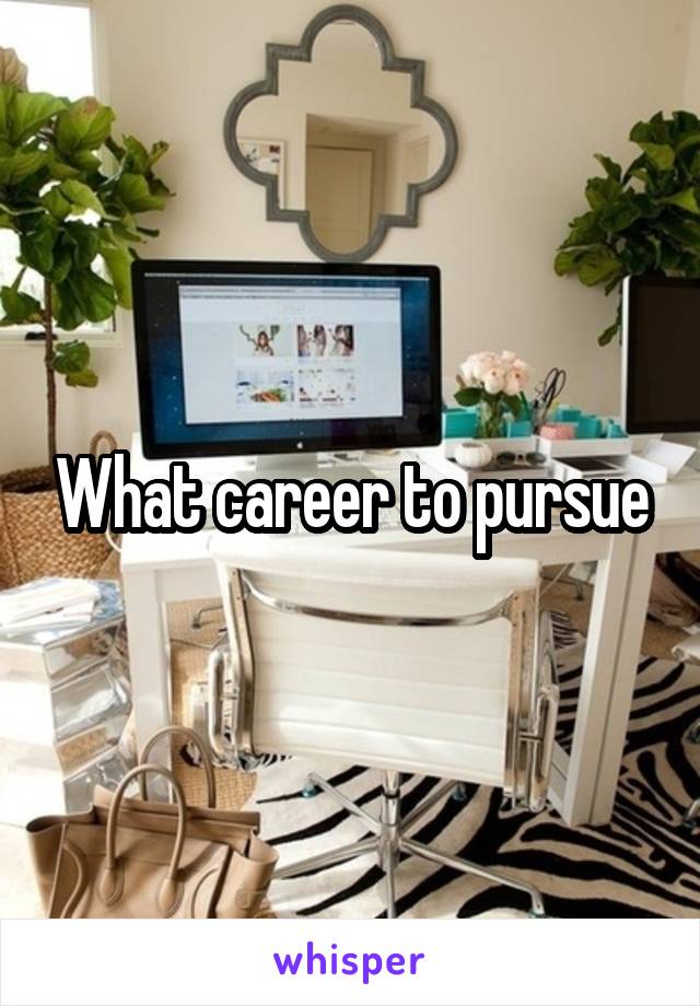 What career to pursue