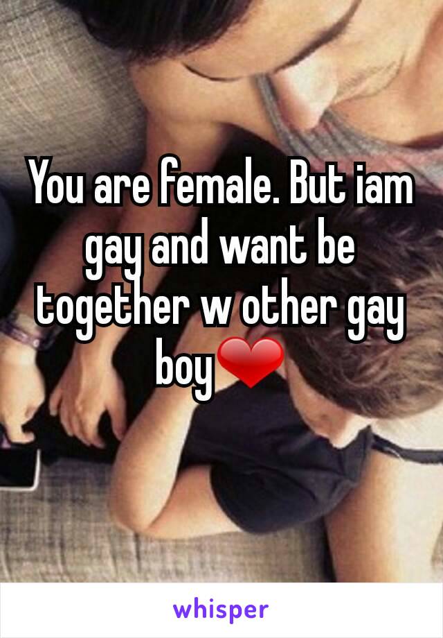 You are female. But iam gay and want be together w other gay boy❤