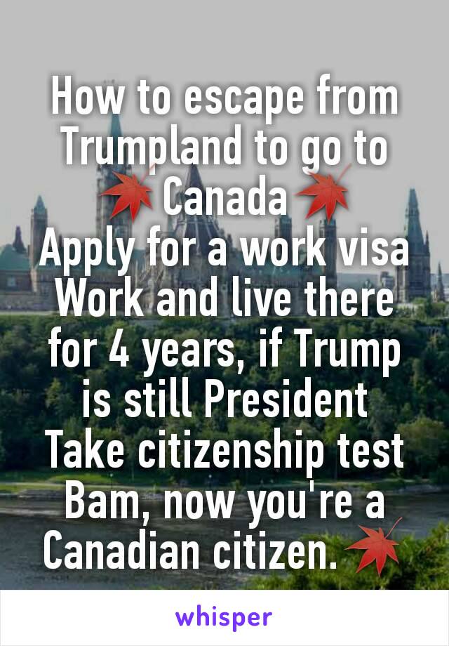 How to escape from Trumpland to go to 🍁Canada🍁
Apply for a work visa
Work and live there for 4 years, if Trump is still President
Take citizenship test
Bam, now you're a Canadian citizen.🍁