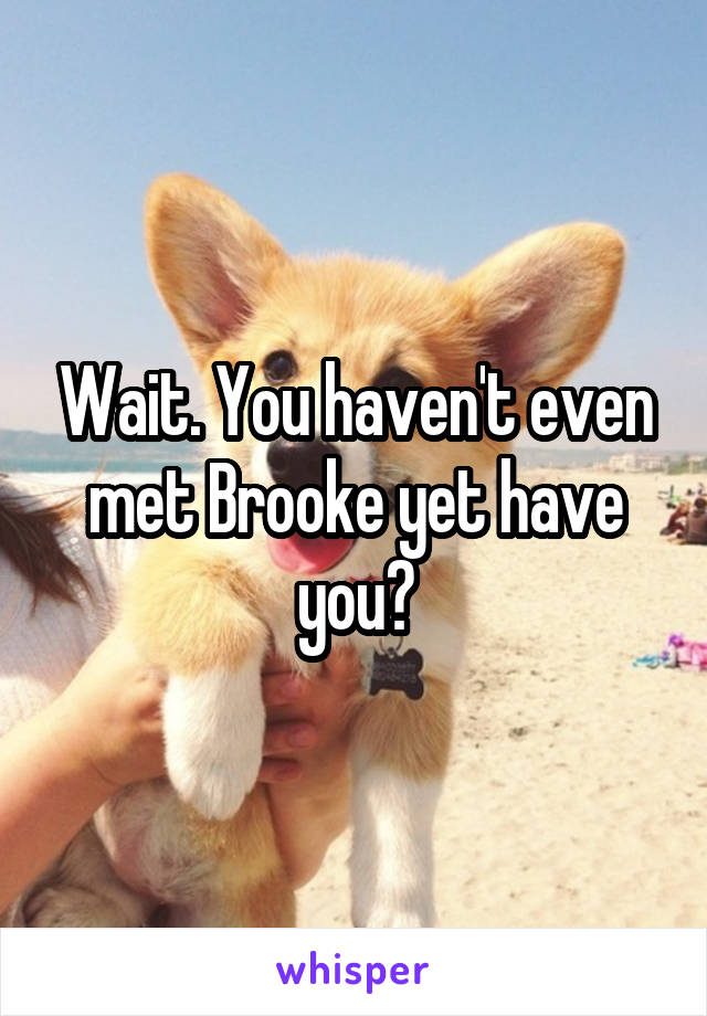 Wait. You haven't even met Brooke yet have you?