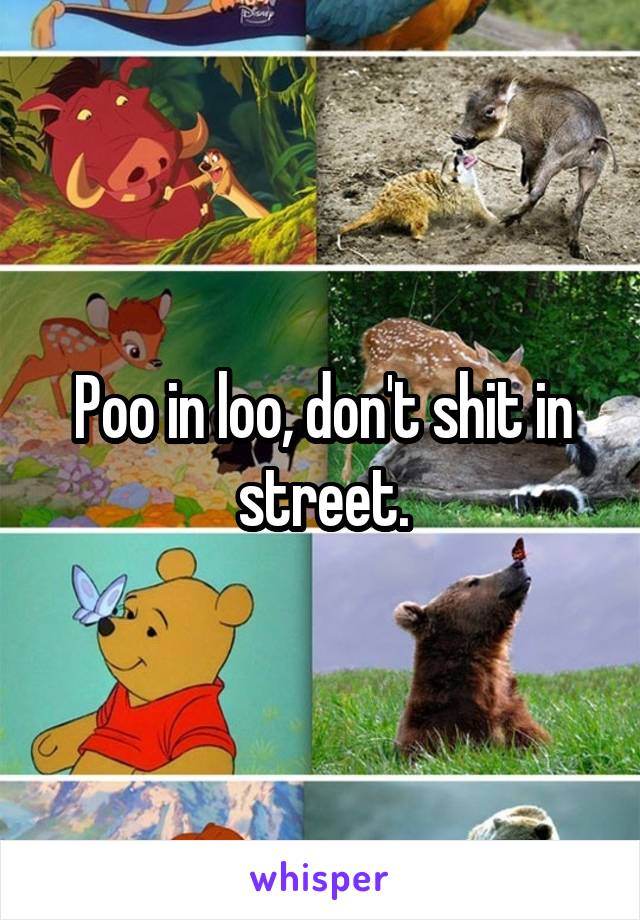 Poo in loo, don't shit in street.