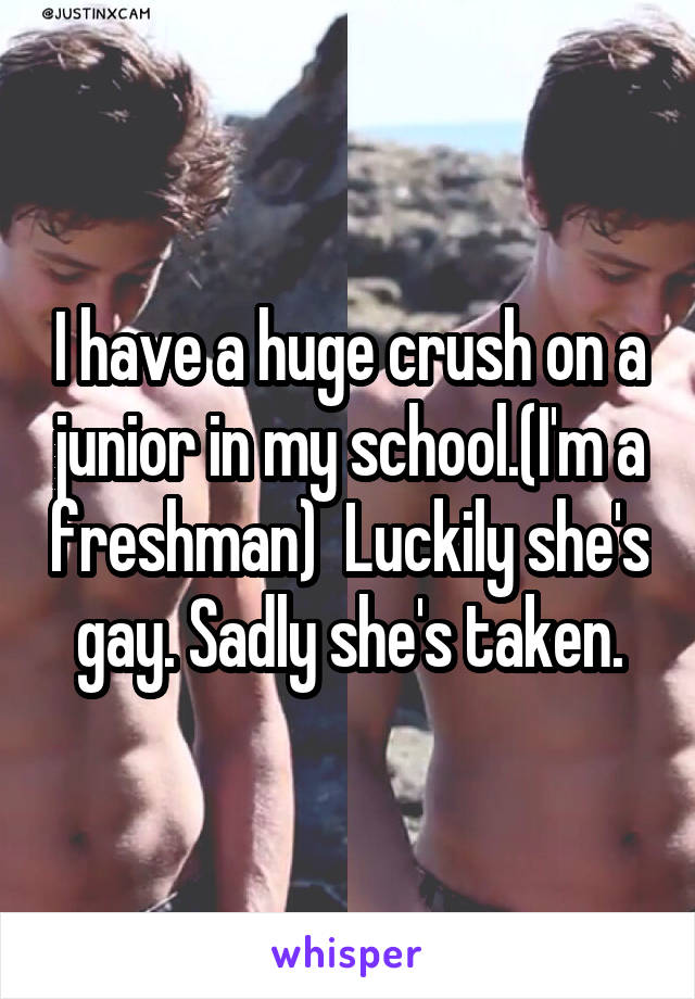 I have a huge crush on a junior in my school.(I'm a freshman)  Luckily she's gay. Sadly she's taken.