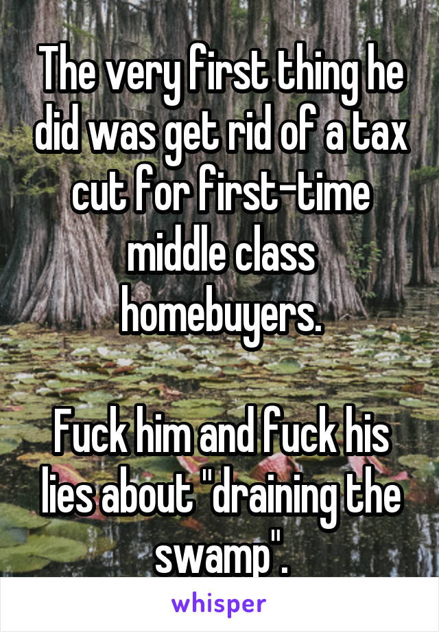 The very first thing he did was get rid of a tax cut for first-time middle class homebuyers.

Fuck him and fuck his lies about "draining the swamp".