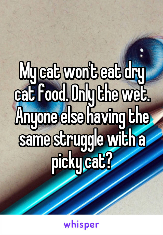 My cat won't eat dry cat food. Only the wet. Anyone else having the same struggle with a picky cat?