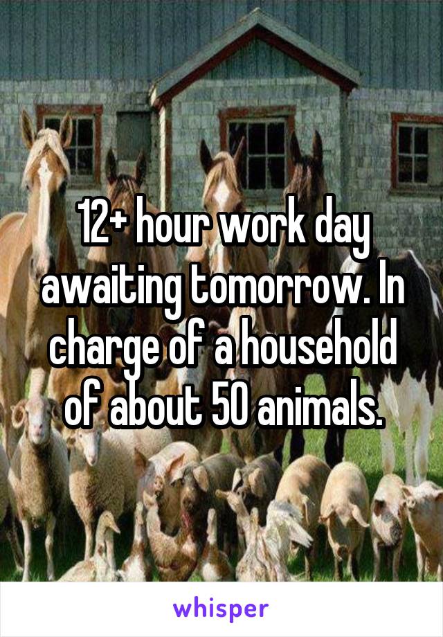 12+ hour work day awaiting tomorrow. In charge of a household of about 50 animals.