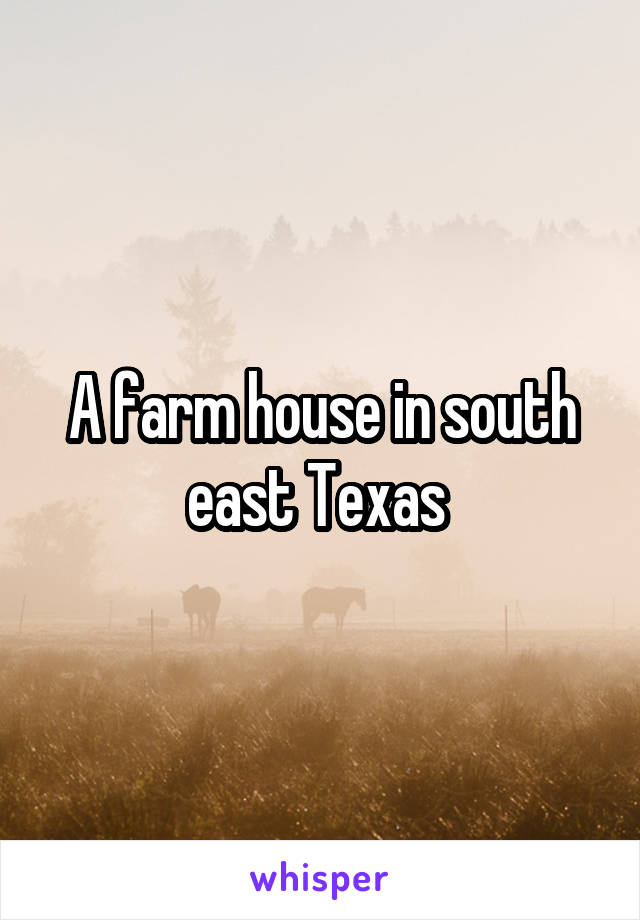 A farm house in south east Texas 