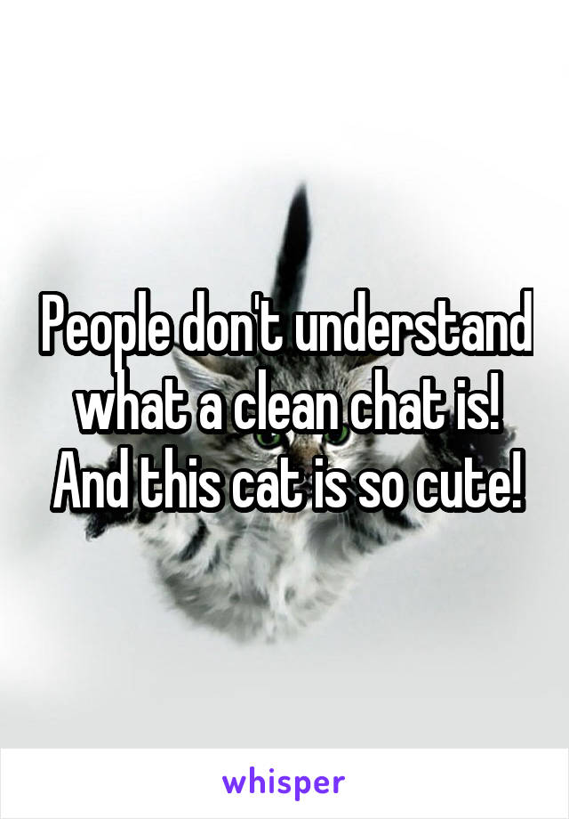 People don't understand what a clean chat is! And this cat is so cute!