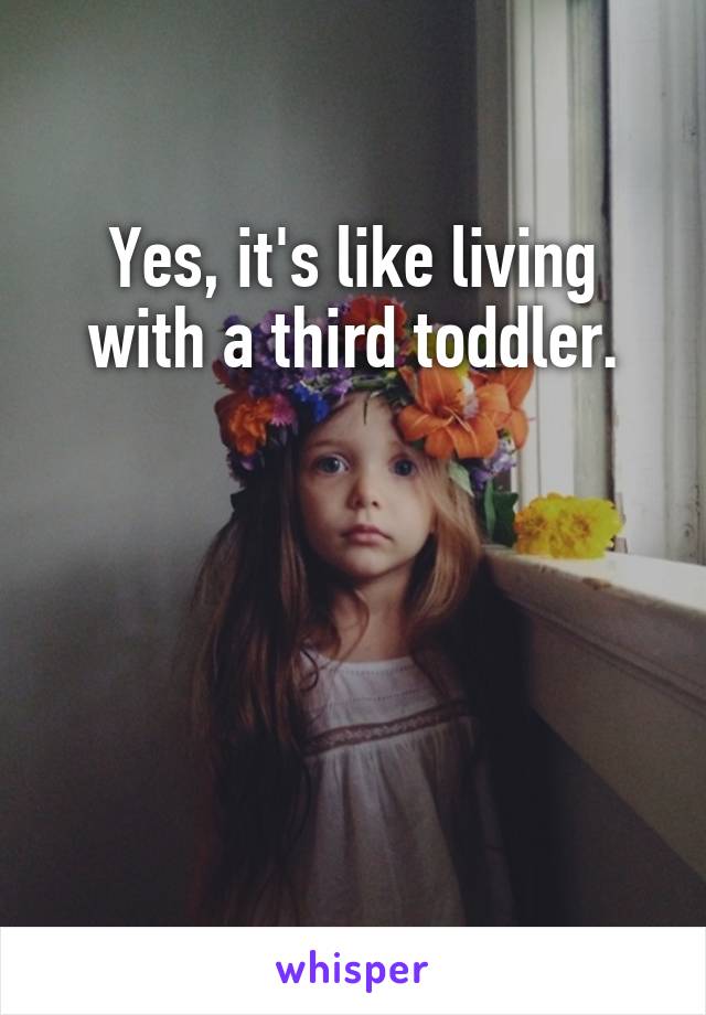 Yes, it's like living
with a third toddler.




