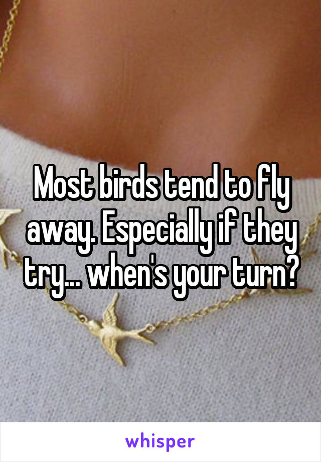 Most birds tend to fly away. Especially if they try... when's your turn?