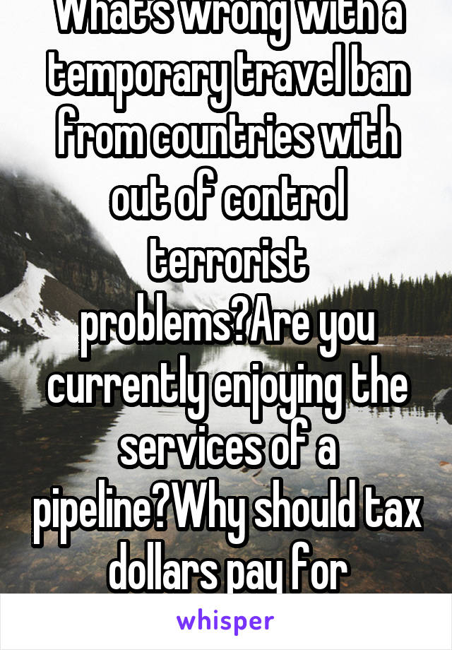 What's wrong with a temporary travel ban from countries with out of control terrorist problems?Are you currently enjoying the services of a pipeline?Why should tax dollars pay for abortions overseas?