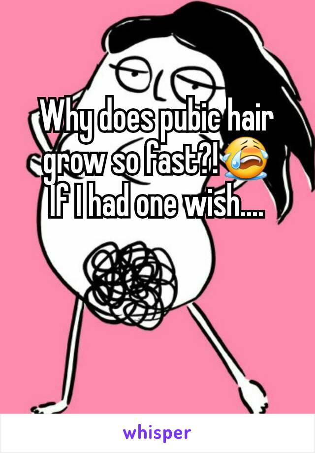 Why does pubic hair grow so fast?!😭      If I had one wish....