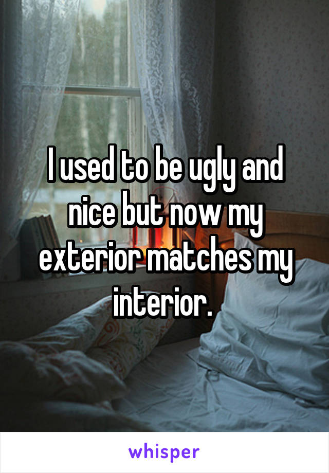 I used to be ugly and nice but now my exterior matches my interior. 