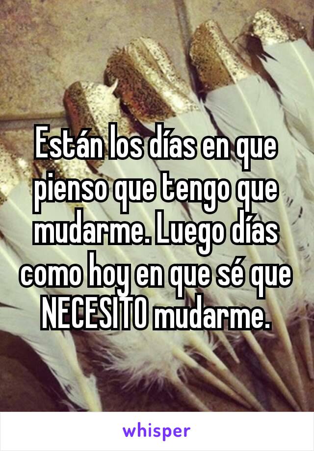 Están los días en que pienso que tengo que mudarme. Luego días  como hoy en que sé que NECESITO mudarme.