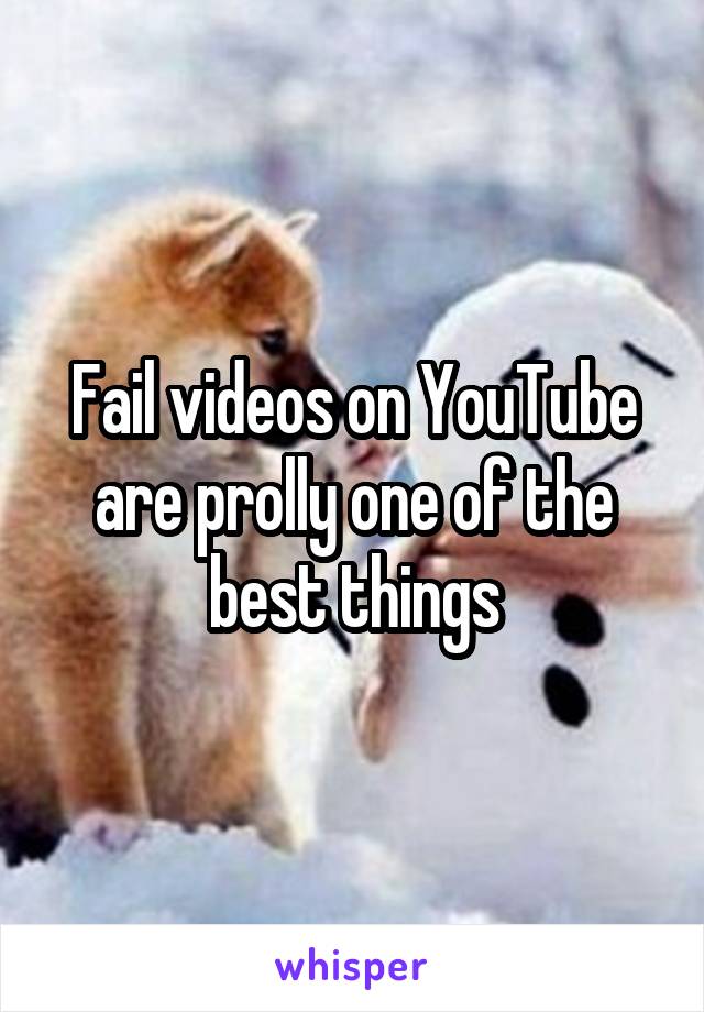 Fail videos on YouTube are prolly one of the best things