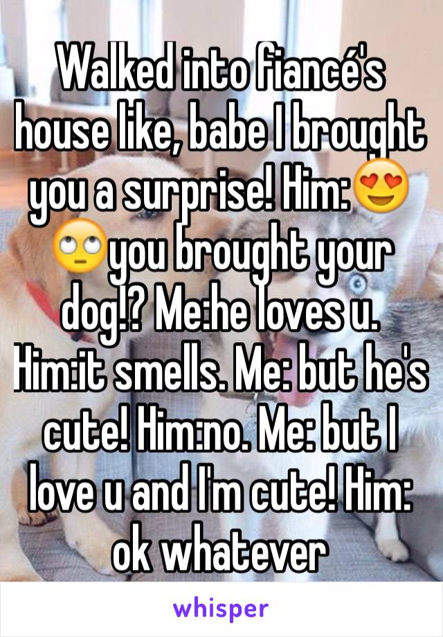 Walked into fiancé's house like, babe I brought you a surprise! Him:😍🙄you brought your dog!? Me:he loves u. Him:it smells. Me: but he's cute! Him:no. Me: but I love u and I'm cute! Him: ok whatever