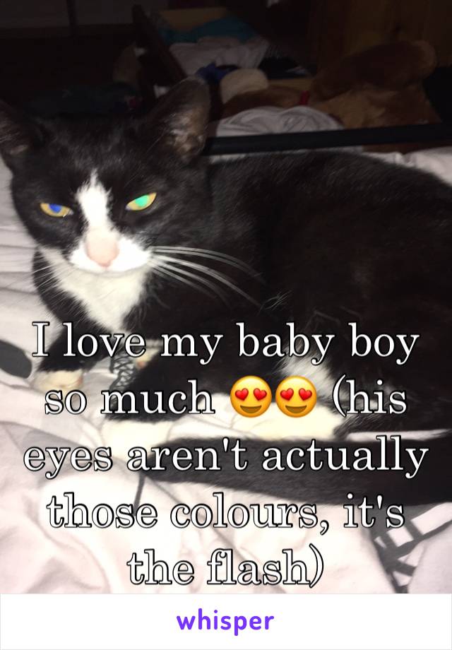 I love my baby boy so much 😍😍 (his eyes aren't actually those colours, it's the flash) 