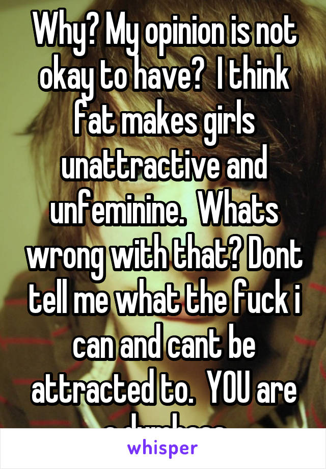 Why? My opinion is not okay to have?  I think fat makes girls unattractive and unfeminine.  Whats wrong with that? Dont tell me what the fuck i can and cant be attracted to.  YOU are a dumbass