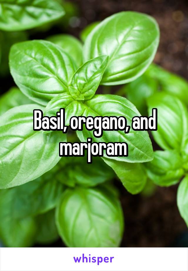 Basil, oregano, and marjoram 