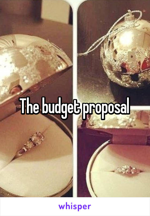 The budget proposal 