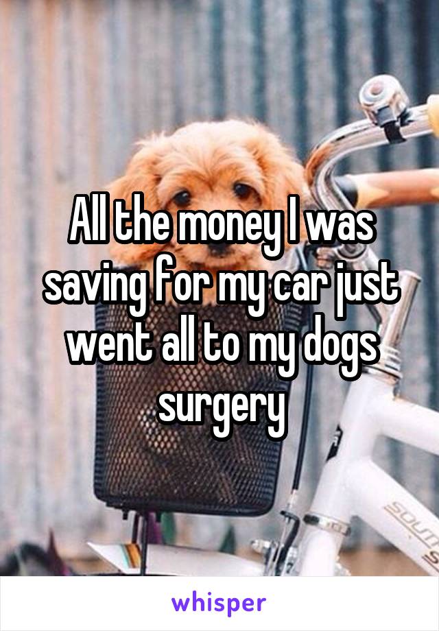 All the money I was saving for my car just went all to my dogs surgery