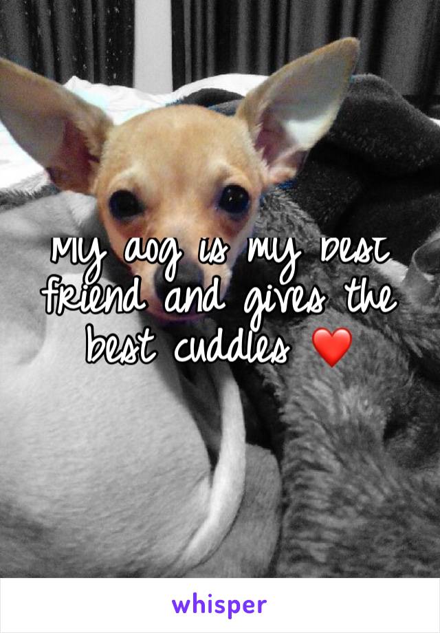 My dog is my best friend and gives the best cuddles ❤