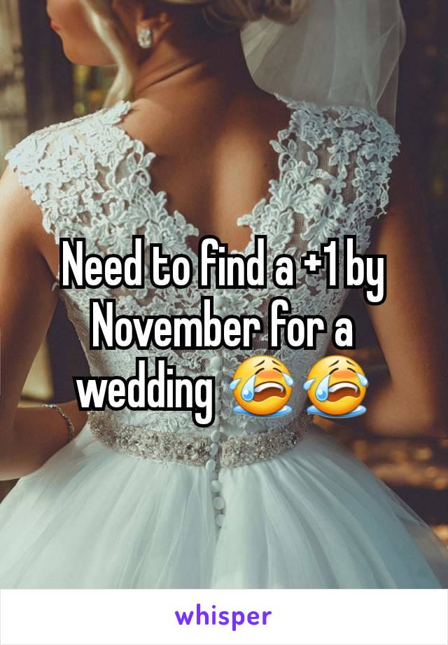 Need to find a +1 by November for a wedding 😭😭