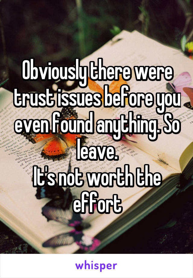 Obviously there were trust issues before you even found anything. So leave.
It's not worth the effort