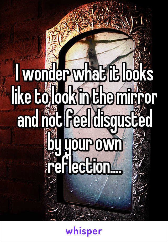 I wonder what it looks like to look in the mirror and not feel disgusted by your own reflection....