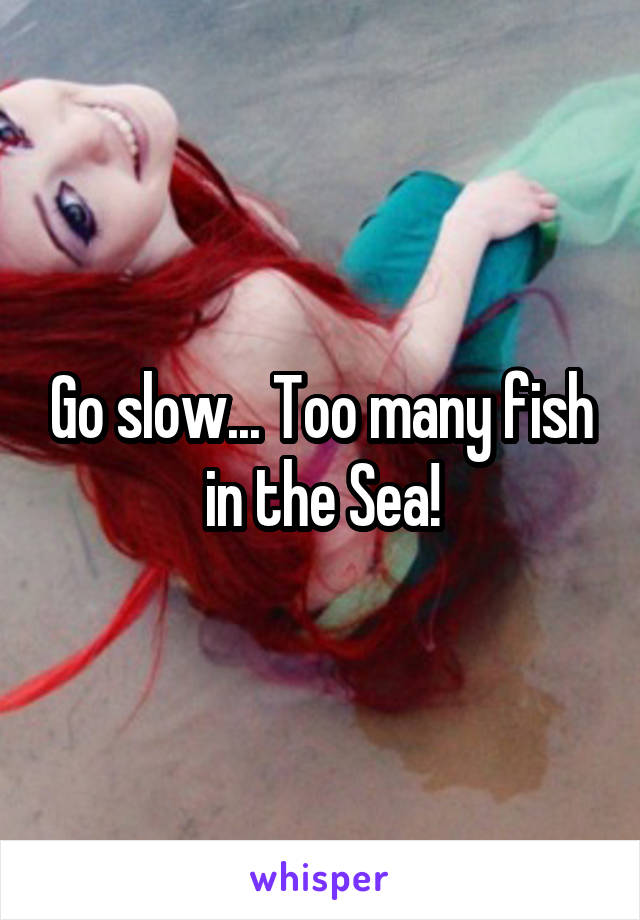 Go slow... Too many fish in the Sea!