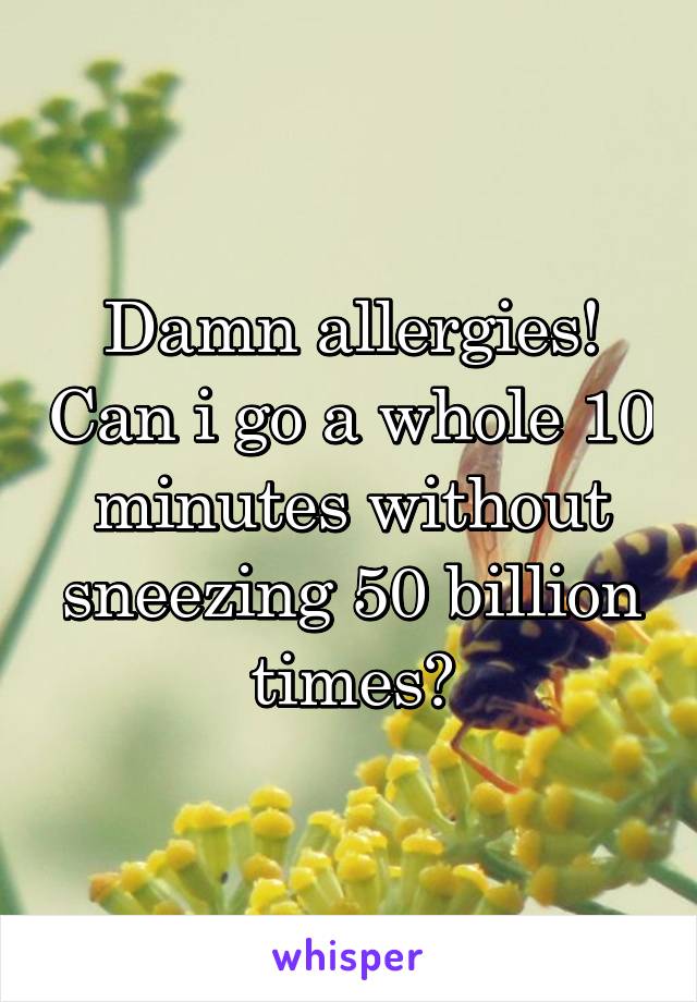 Damn allergies! Can i go a whole 10 minutes without sneezing 50 billion times?