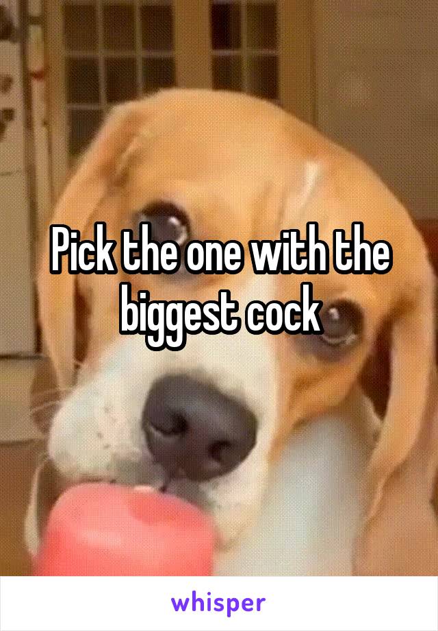 Pick the one with the biggest cock
