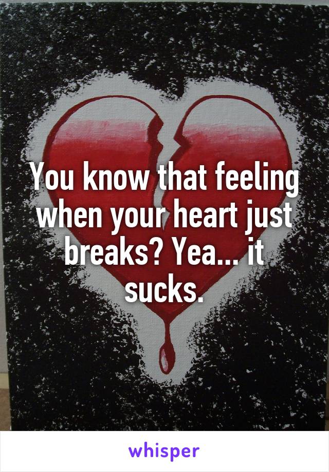 You know that feeling when your heart just breaks? Yea... it sucks.