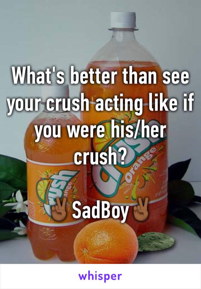 What's better than see your crush acting like if you were his/her crush?

✌🏾SadBoy✌🏾